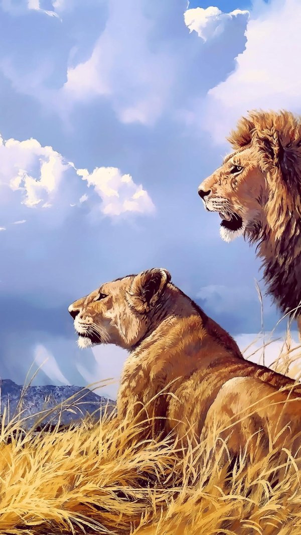 картина прайд львов