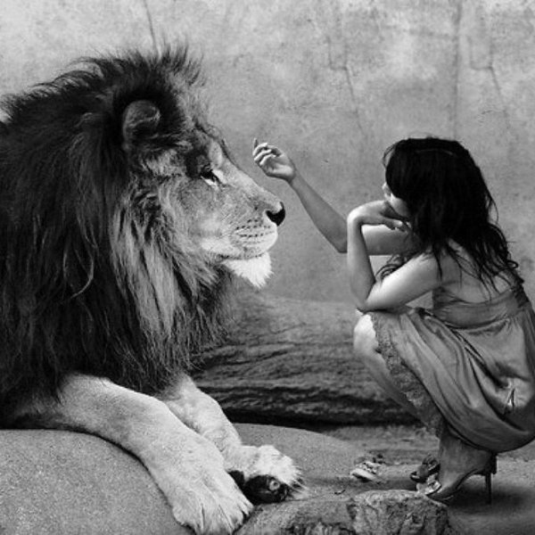 девушка обнимает льва