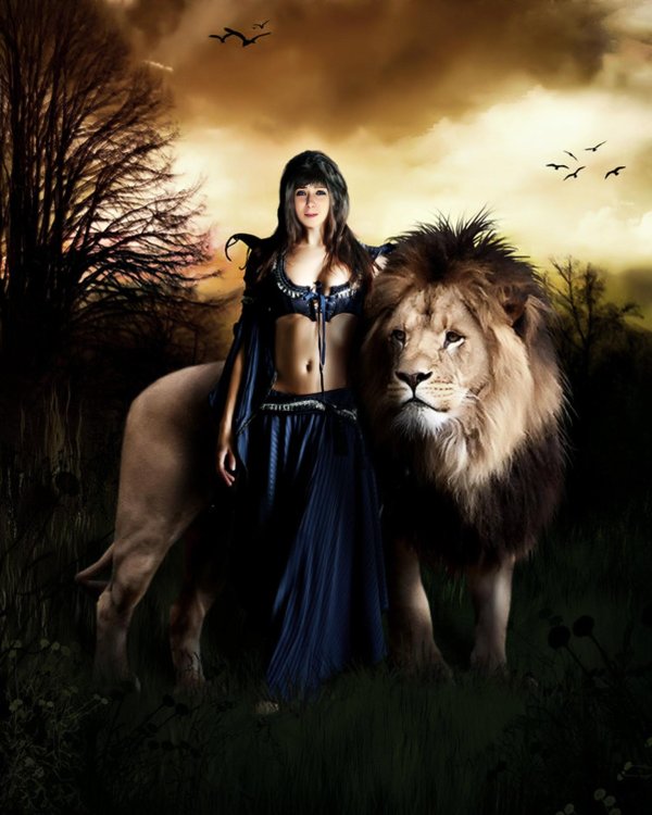 фотосессия со львом