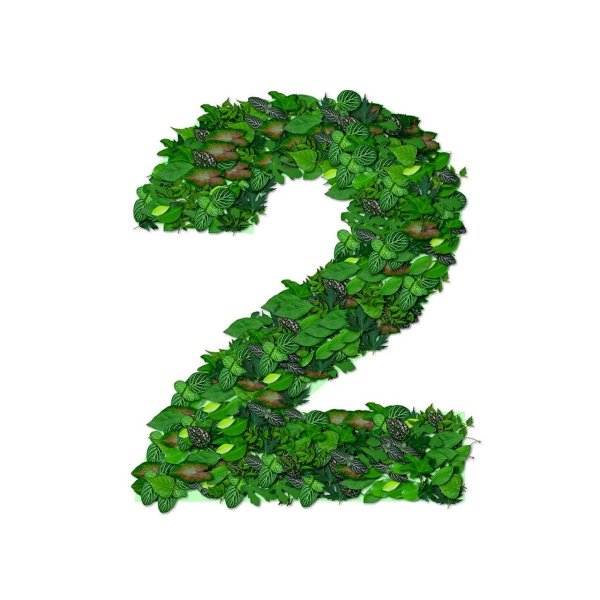 зеленый травяной