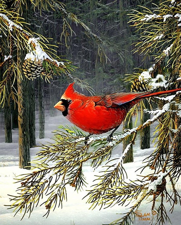 зимний пейзаж с птицами