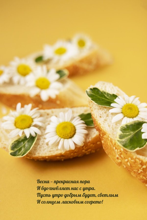 утро весеннее