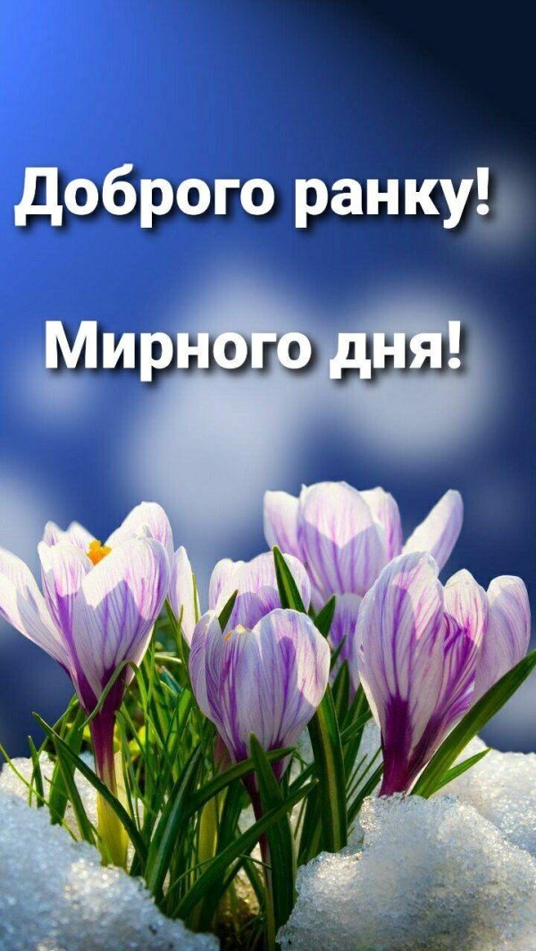 доброго ранку