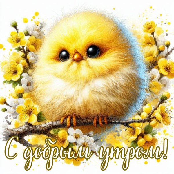 мультяшные цыплята