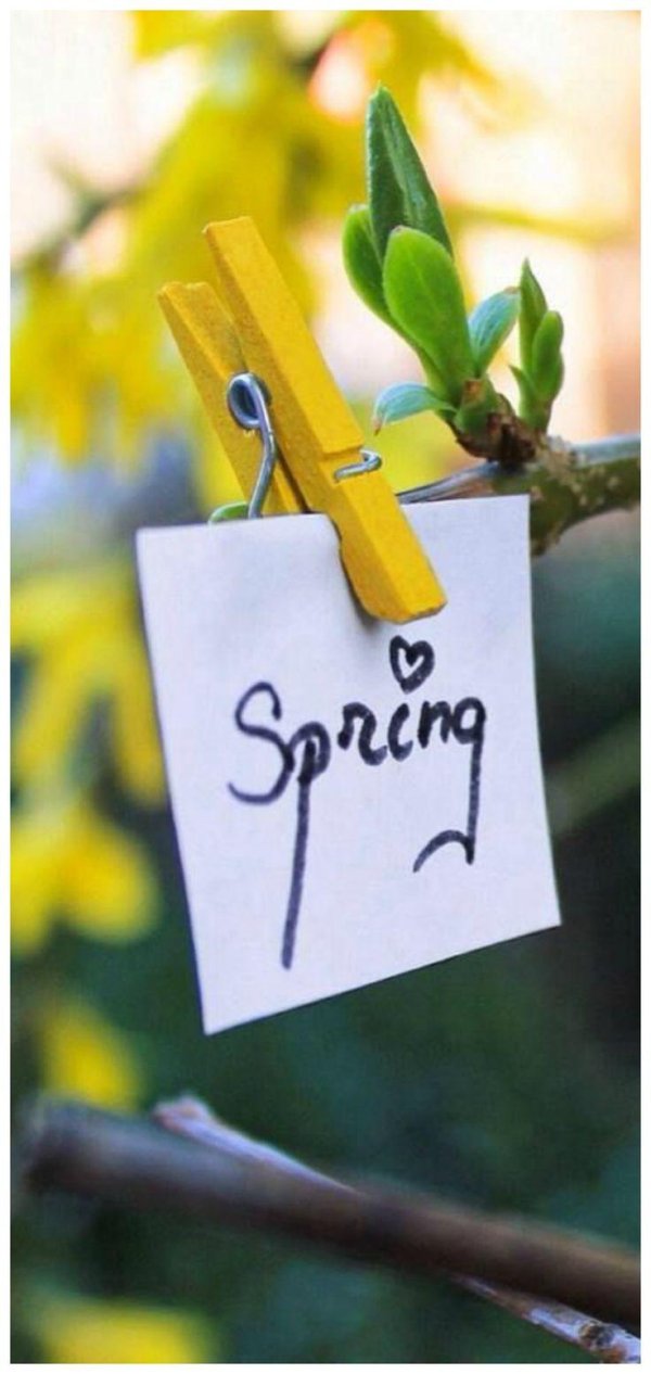 открытка весенняя