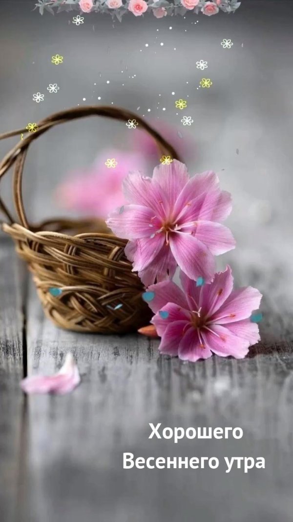 добра утра