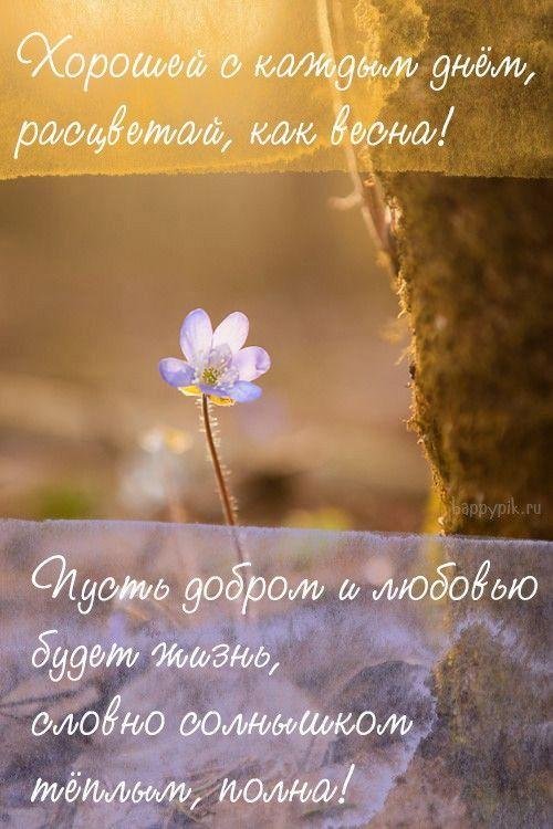 цветок весенний