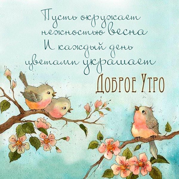добрейшего весеннего утра