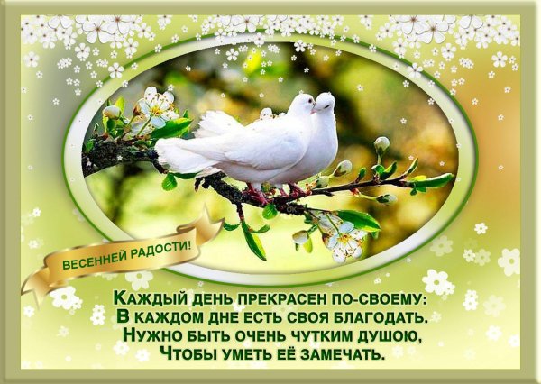 радости в каждом дне