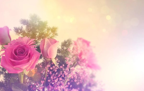 цветочные фоны