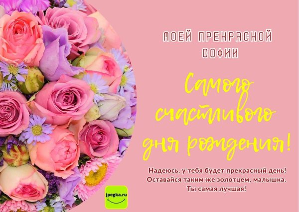 с днем рождения софии