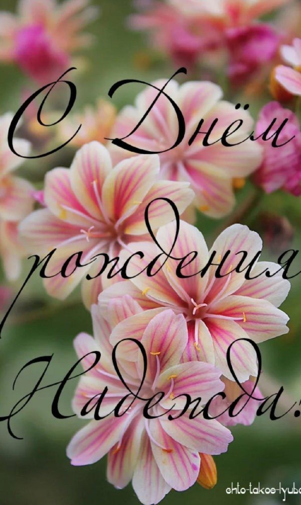 надежда с днём рождения открытки красивые