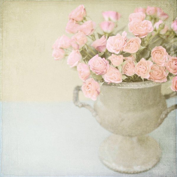 цветы пастельные тона