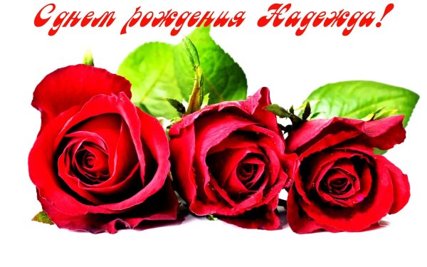 день рождение