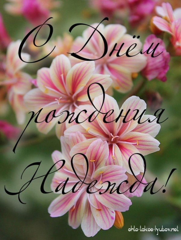 надежда с днём рождения открытки красивые