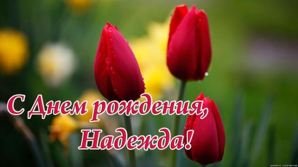 день рождение