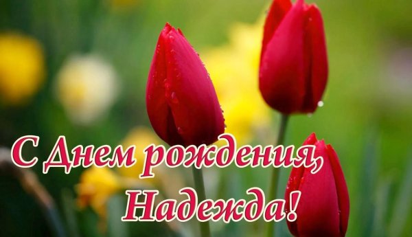 надежда с днем рождения