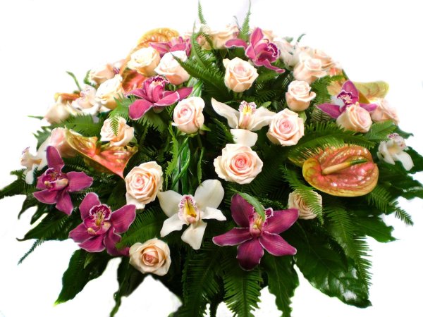 букет орхидеи