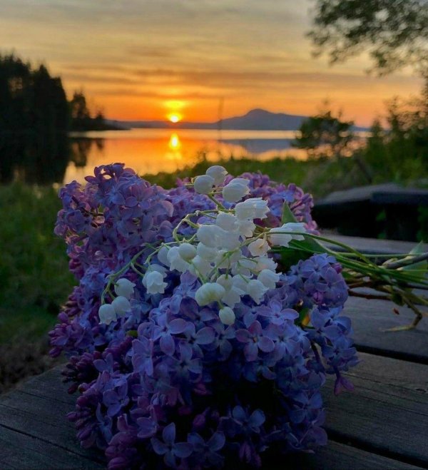 майский субботний вечер