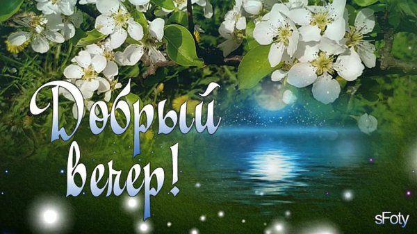 вечера доброго