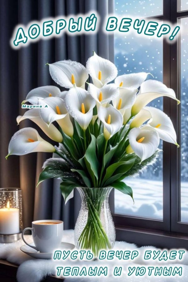 вечерние поздравления с добрым вечером