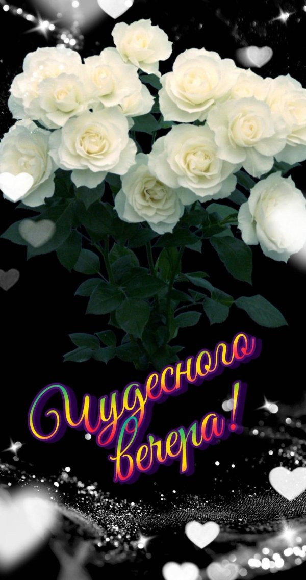 открытка с белыми розами