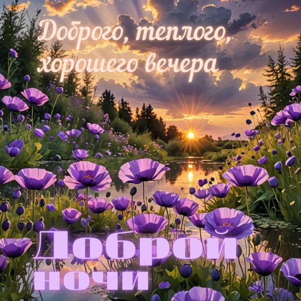 доброго летнего вечера