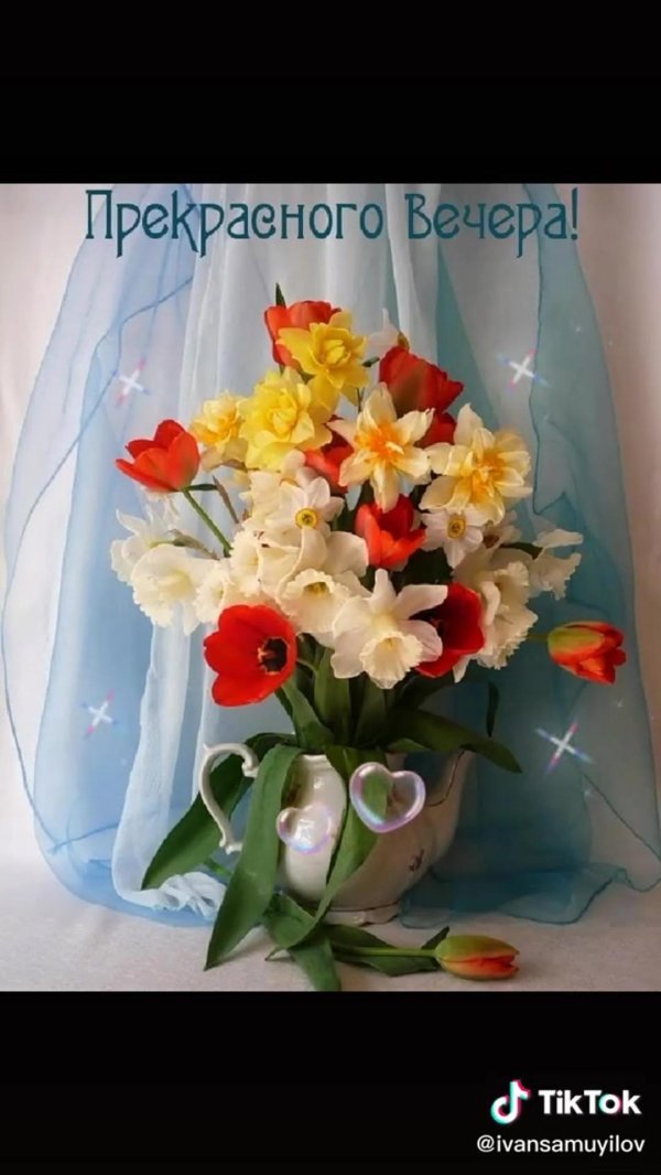 прекрасно вечера