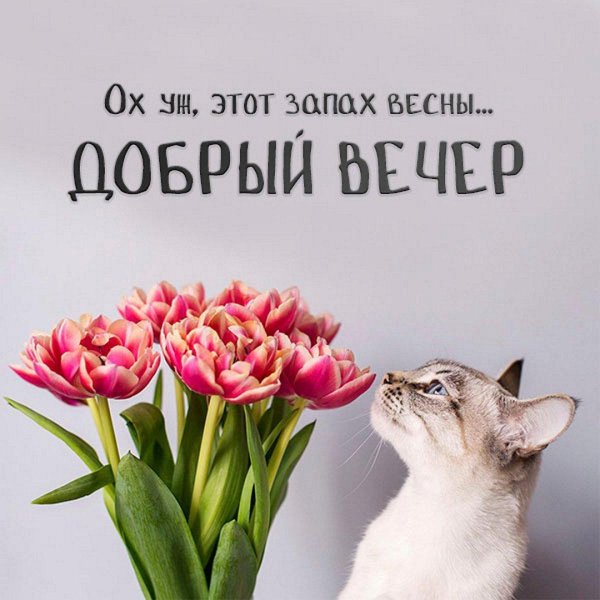 запах весны