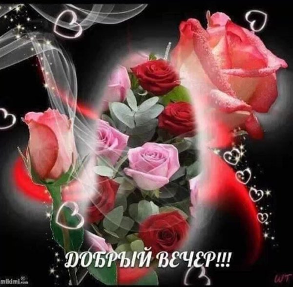 добрый вечер вероника