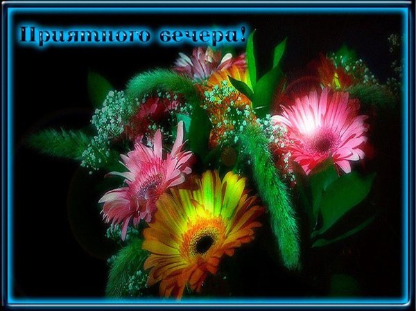 переливающиеся цветы