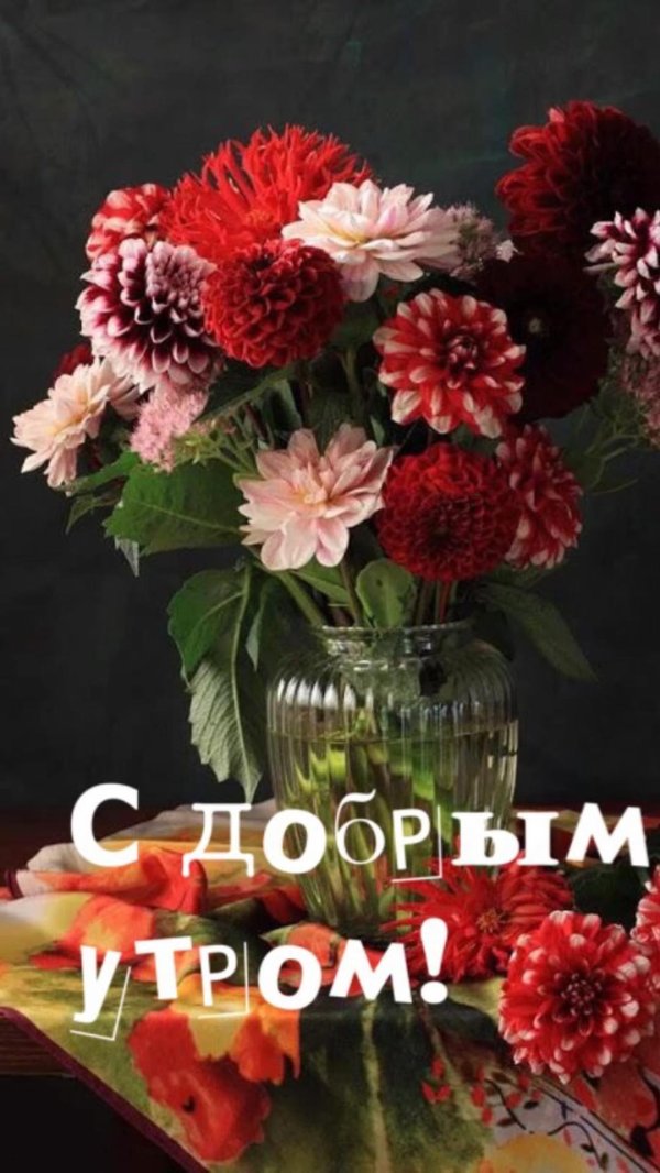 георгины букетные