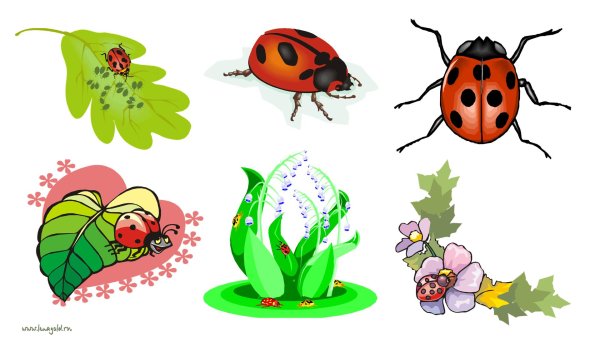 Насекомых для детей цветные