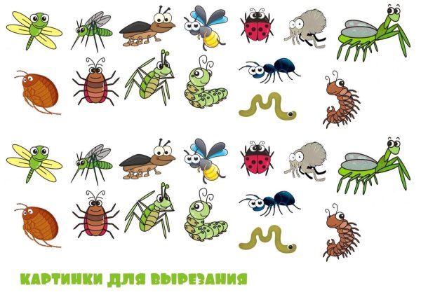 дидактическая игра насекомые