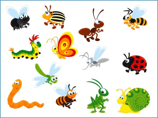 мультяшные насекомые
