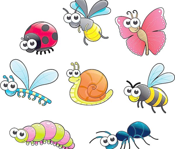 наклейки насекомые