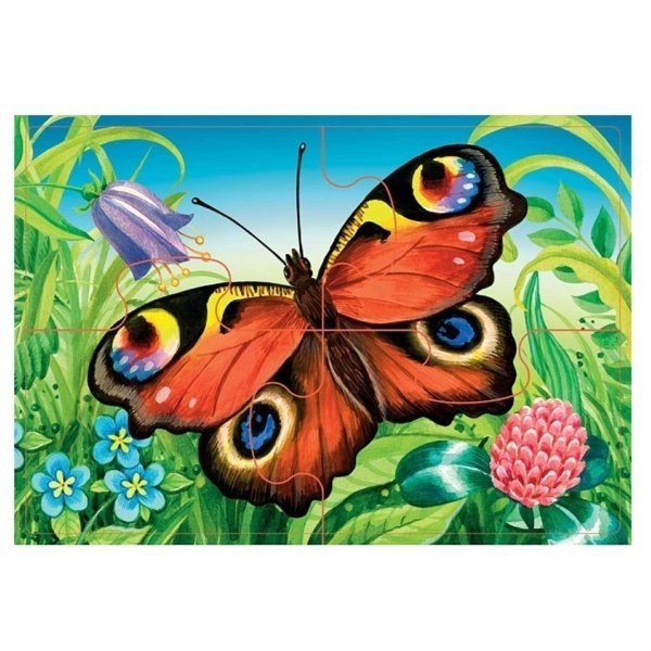 бабочка павлиний глаз