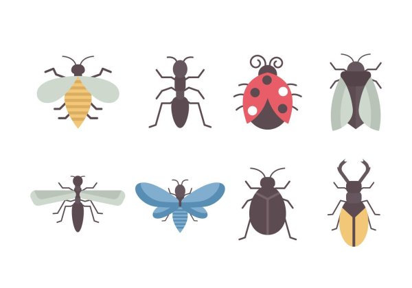 векторные насекомые