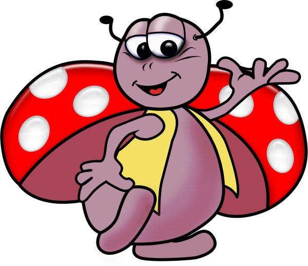 божие коровки