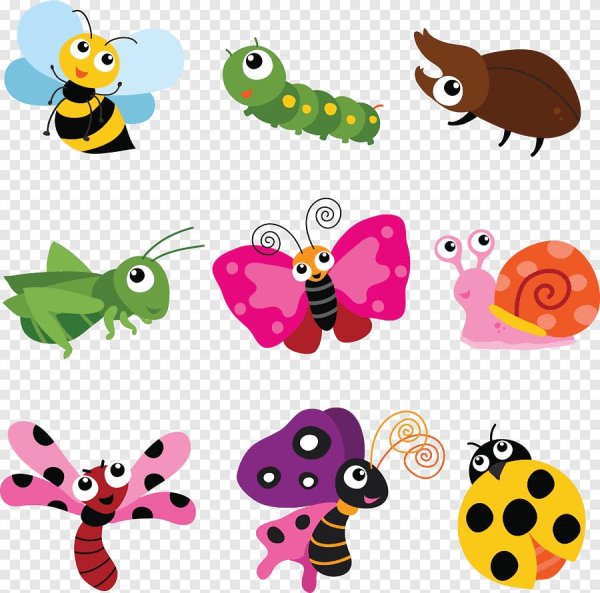 насекомые клипарт