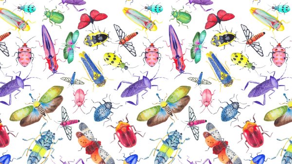 фон насекомые