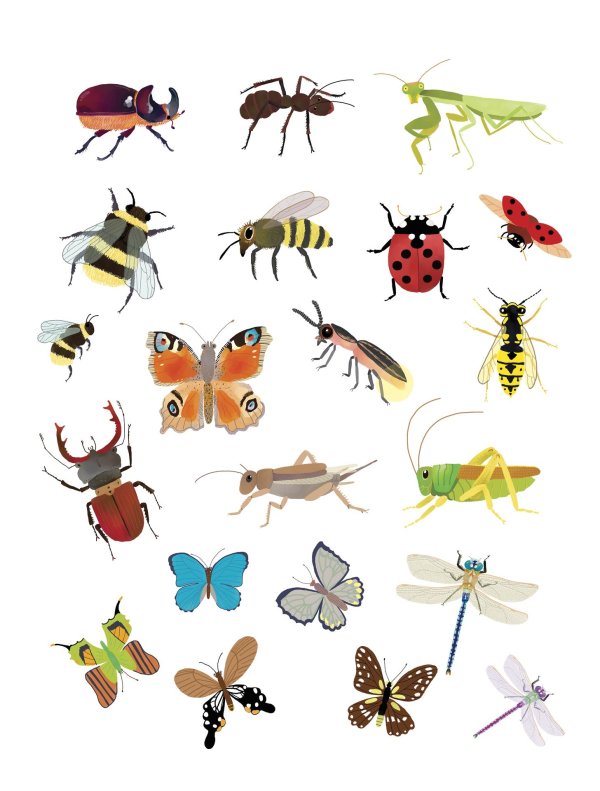 наклейки насекомые