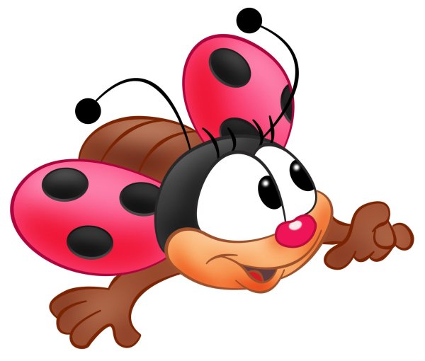 веселая божья коровка