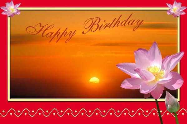 красивый лотос