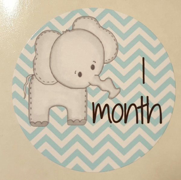 month by month
