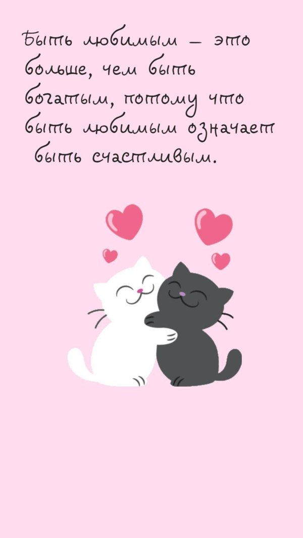 котики любовь