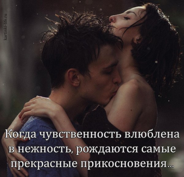 высказывания про чувственность