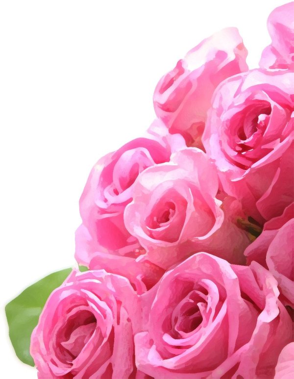 роза пинк фловер