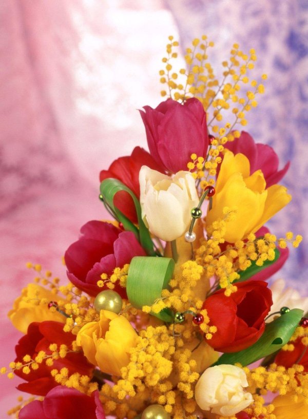 мимоза с тюльпанами