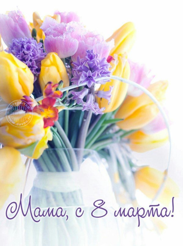 поздравлением с 8 марта
